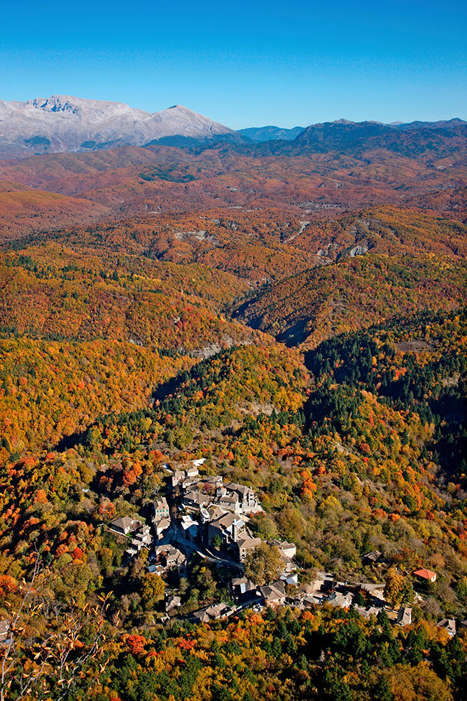 PAPIGIOTIKO BIO Borovicový med z lesů od jezera Ioannina Řecko DIKORFO